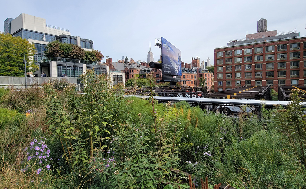 High Line with Empire State Building in the distance